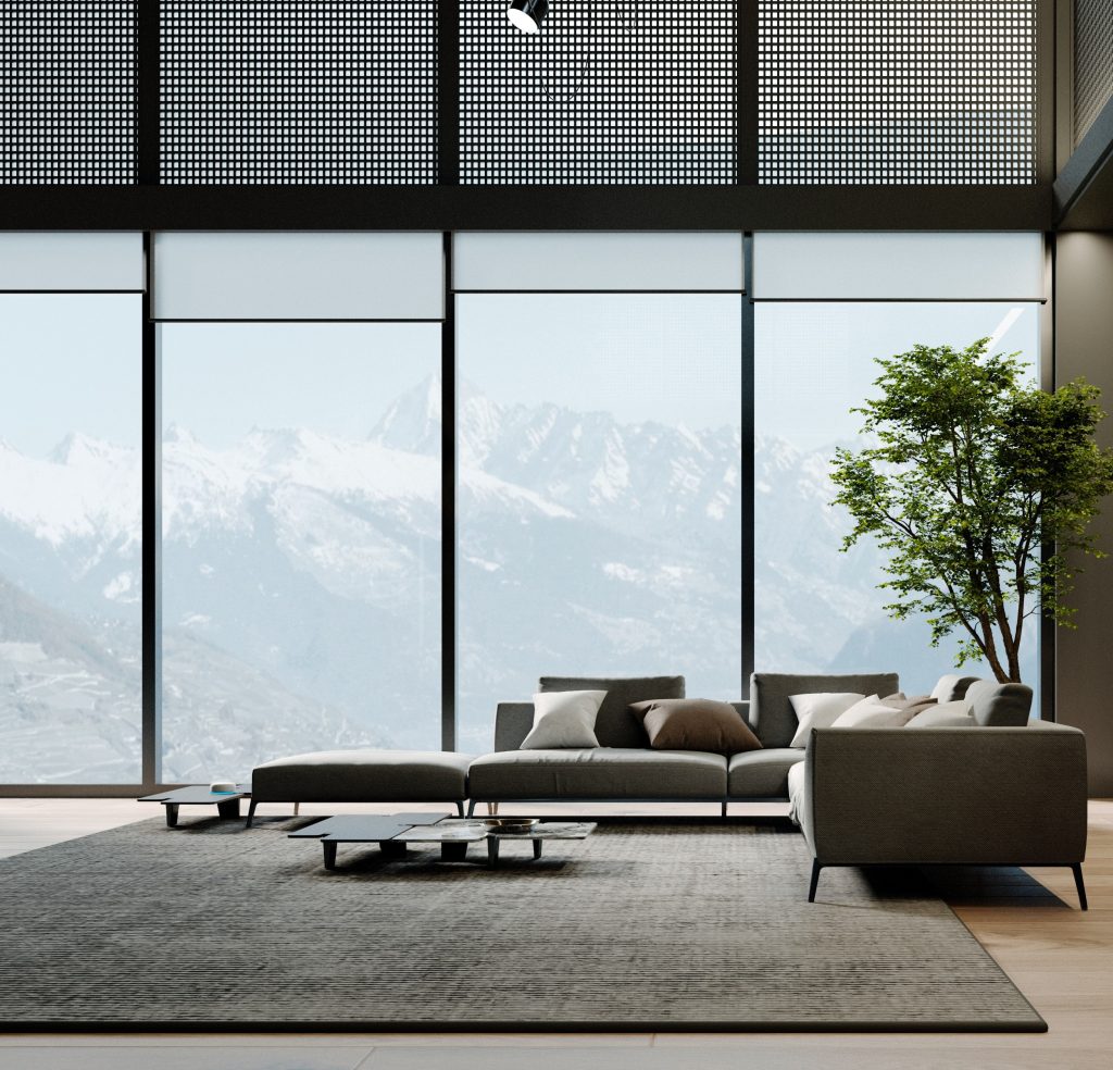 large rugs living room